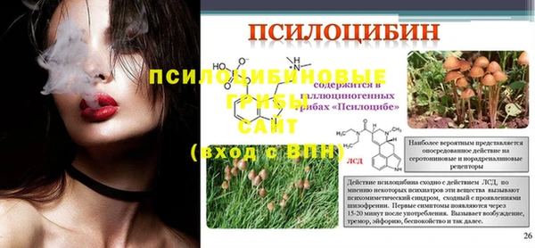 кокс Кинешма