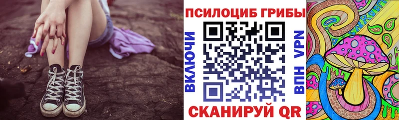 Купить закладки  Георгиевск  Галлюциногенные грибы мицелий 
